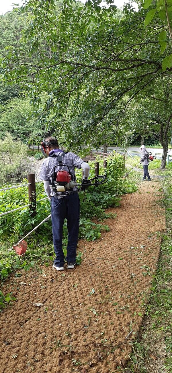 부안 개암사 벚꽃길 산책로 주변 제초작업 구슬땀