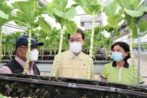 권익현 부안군수, 스마트팜 시설하우스 현장행정