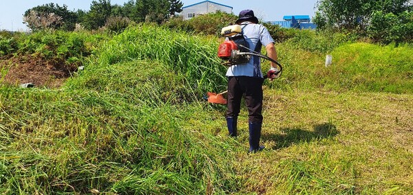 부안소방서 의용소방대연합회, 코로나19 확산방지 벌초대행 서비스 지원