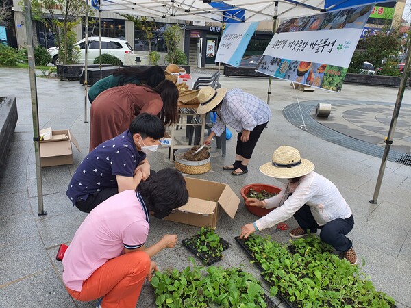 토종씨앗, 학교 텃밭에 깃들다!
