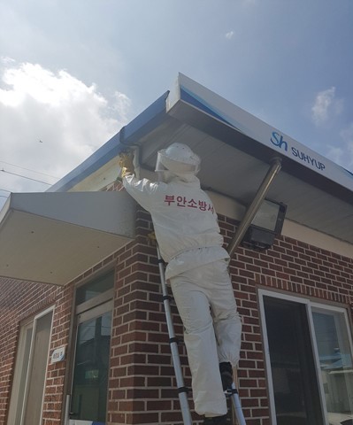 부안소방서, 벌집 발견 시 행동요령 강조 및 119신고 당부