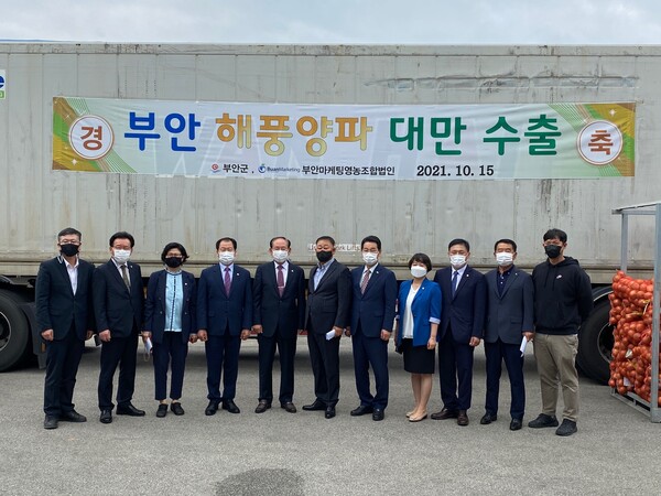 부안군 부안해풍양파 대만인의 식탁에 올라