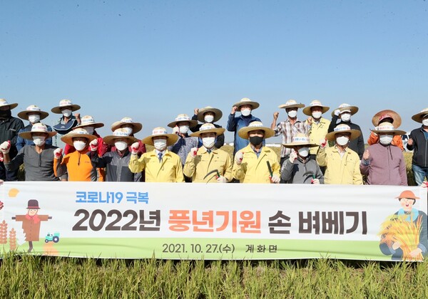 부안 계화면, 코로나19 극복·풍년농사 기원 손 벼베기 실시