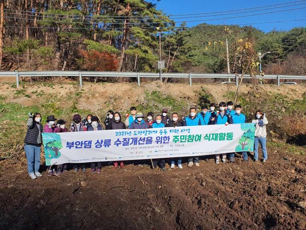 강살리기 부안군 네트워크, 부안댐 상류 수질개선을 위한 창포식재