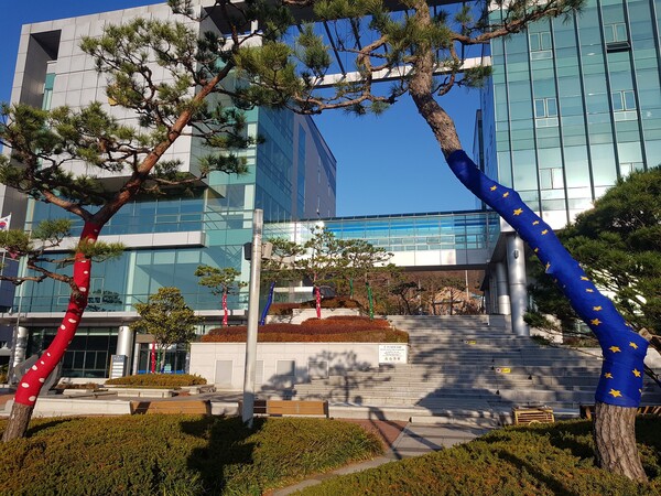 부안군, 청사광장 조경수 겨울나기 나무옷 착용