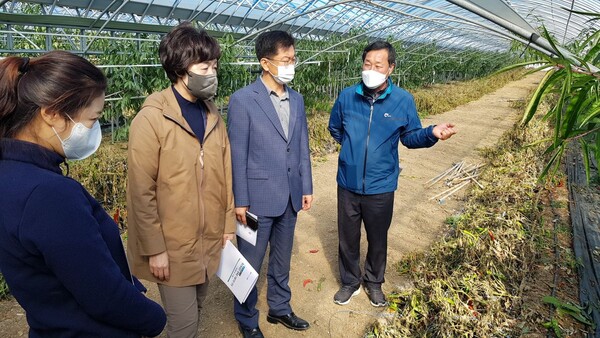 박경숙 전북농업기술원장, 부안 청년농업인 사업장 현장행정