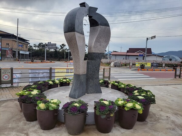 부안 보안면, 꽃양배추 식재 아름다운 가로경관 제공