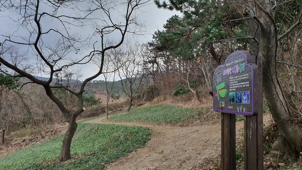 부안군, 변산마실길 계절마다 꽃내음 향연