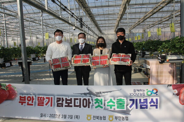 부안농협 고품질딸기 캄보디아에 수출