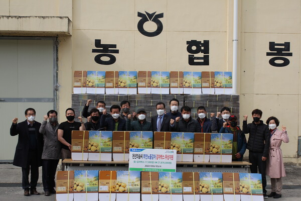 부안농협 천년의솜씨 부안노을감자박스 무상지원