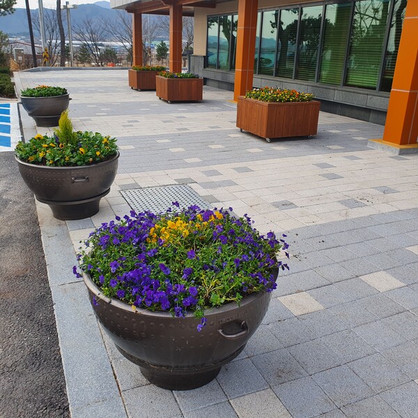 부안 보안면, 꽃단장으로 봄맞이 준비 끝