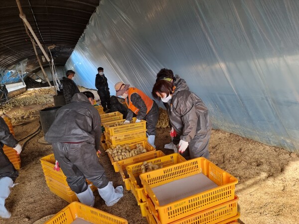 부안군 자원봉사센터 줄포면 화재현장 복구작업 지원