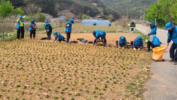 부안군 부안댐 상수원보호구역 아름다운 거리 조성