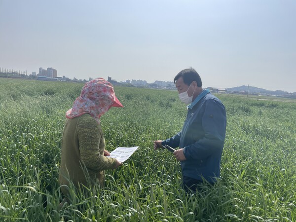 부안군, 맥류 출수ㆍ개화기 붉은곰팡이병 방제 당부