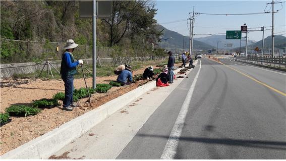 부안 진서면 주요 도로변 꽃 식재 쾌적한 환경 조성