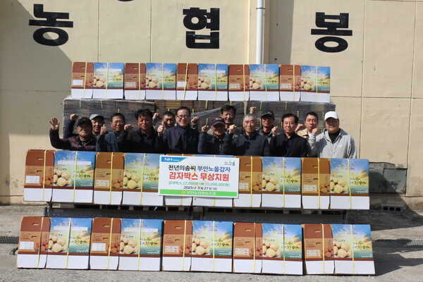 부안농협, 천년의솜씨 부안노을감자박스 무상지원