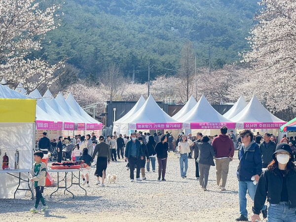부안 상서면, 제7회 개암동 벚꽃축제 성황리 개최