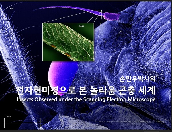 부안누에타운, 순회 기획 전시 진행 군민 문화향유 기회 제공