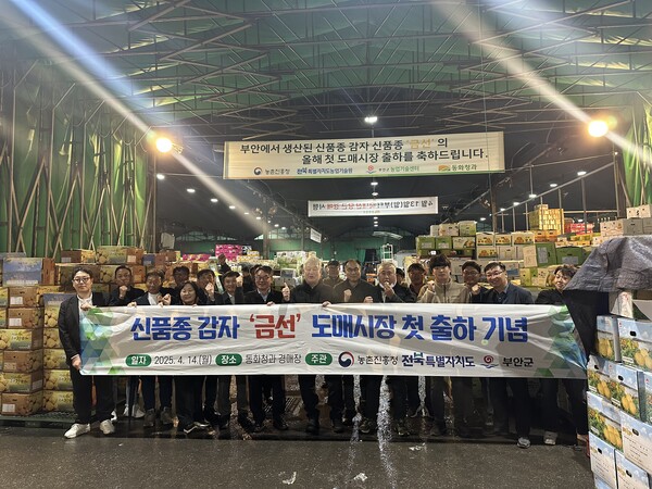 부안군, 지역 농특산품 금선 감자 첫 출하