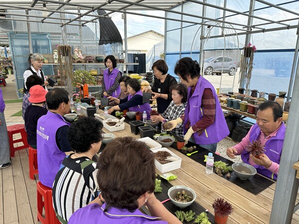 백산면 지역사회보장협의체, 반려 식물 만들기 사업 진행