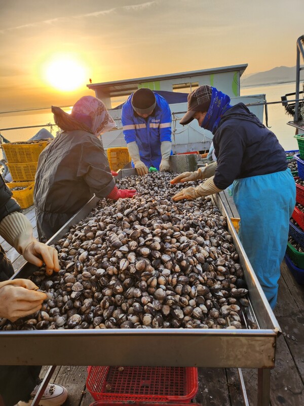 부안군, 양식장 형망선 야간 조업 허용 어업인 소득 증대 기대