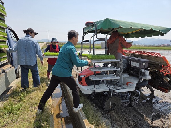 행안면, 첫 모내기 현장 영농행정 추진