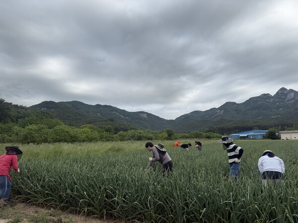 부안군 산림정원과, 영농철 일손돕기 추진