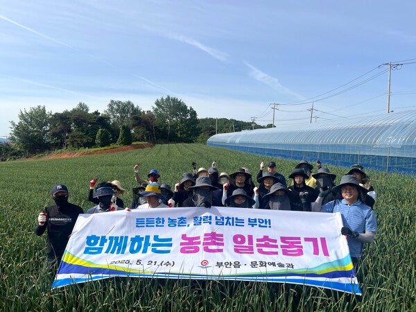 부안군, 영농철 맞아 마늘농가 일손돕기 실시