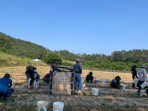 부안군 해양수산과, 영농철 일손 돕기 추진