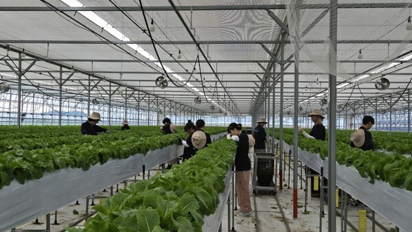 전북자치도 서울장학숙 입사생, 부안 하서면 농촌봉사활동 전개