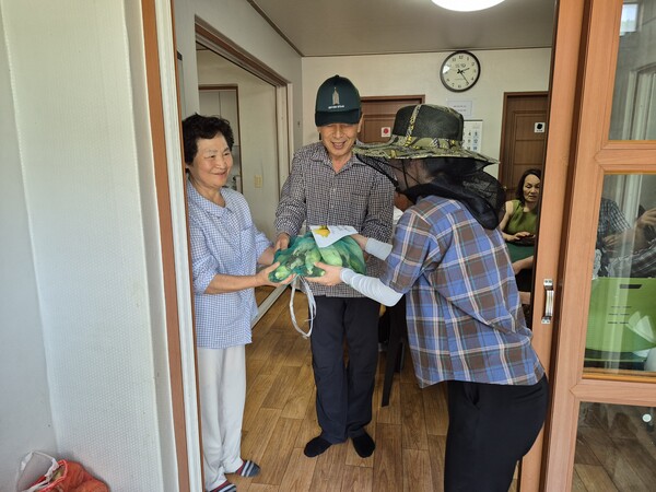 보안면 와동마을 노인일자리 영농사업단, 이웃사랑 실천 옥수수 기탁