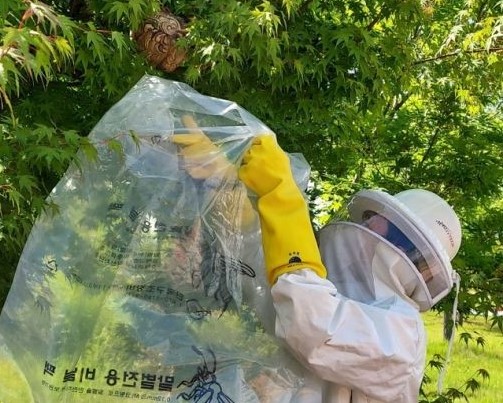 부안소방서, 벌 쏘임 사고 주의 당부