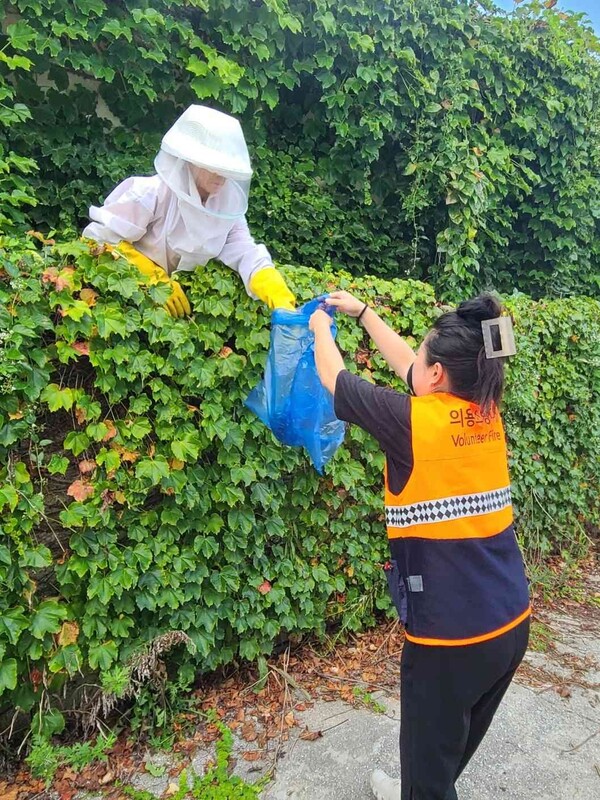 부안소방서 위도의용소방대, 여름철 벌집 제거 총력