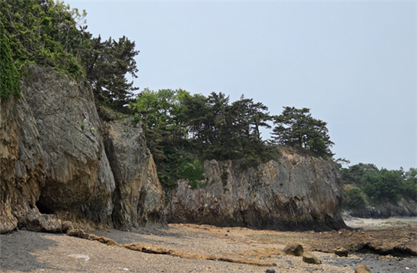 부안 변산 페퍼라이트·솔섬 응회암 구상구조, 천연기념물 지정 예고