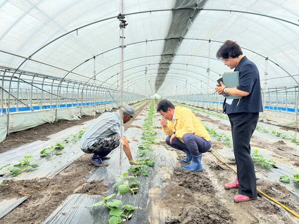 권익현 부안군수, 호우 피해 비닐하우스 현장 방문