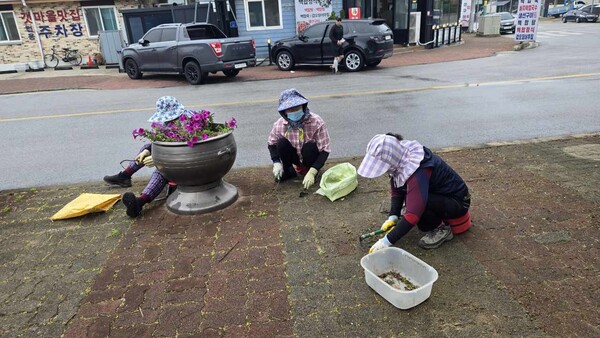 부안군, 2025년 하반기 지역공동체 일자리사업 본격 추진
