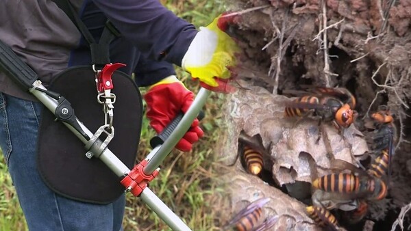 부안소방서, 성묘철 예초기 ‧ 벌쏘임 사고 주의보 발령