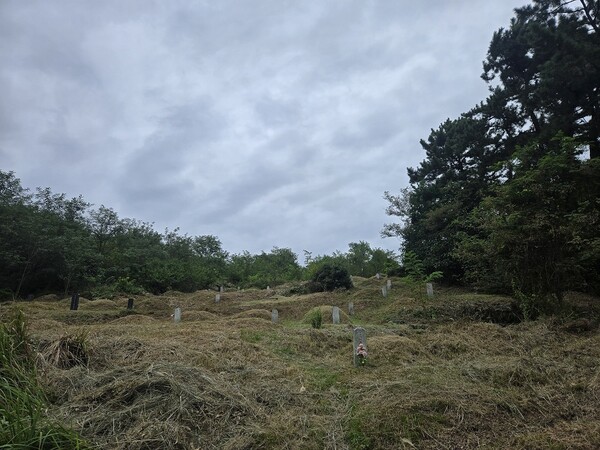 부안읍, 추석맞이 무연고 공동묘지 정비 시행