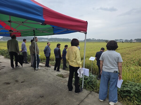 부안군, 벼 신품종 조기확산‧브랜드 육성 재배단지 현장평가회 개최