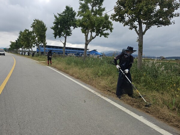 부안군, 가을철 도로 정비 박차